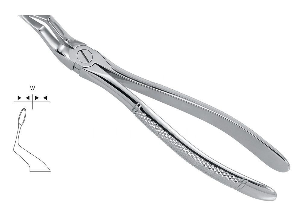 Extract. Forceps F.Upper Roots – Fig. 51-Sb