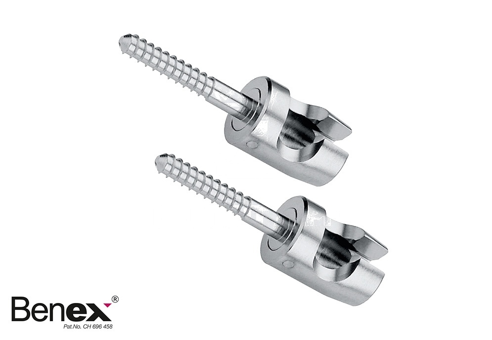 Small Benex Extracing System – Screw Only – 10 Mm (1 Pair), Diam. 1.6 Mm Inchsinch = Short Packing Unit = 2 Pieces