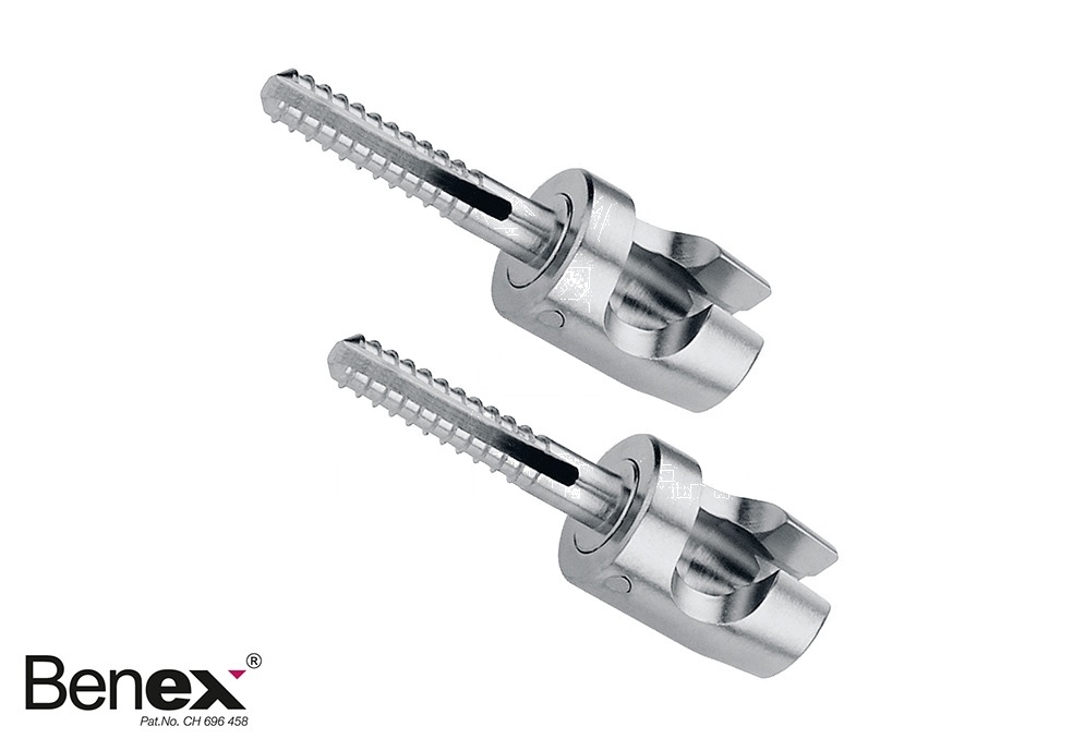 Benex Extracing System – Screw Only – Short 10 Mm (1pair), ø2.1mm Packing Unit = 2 Pieces