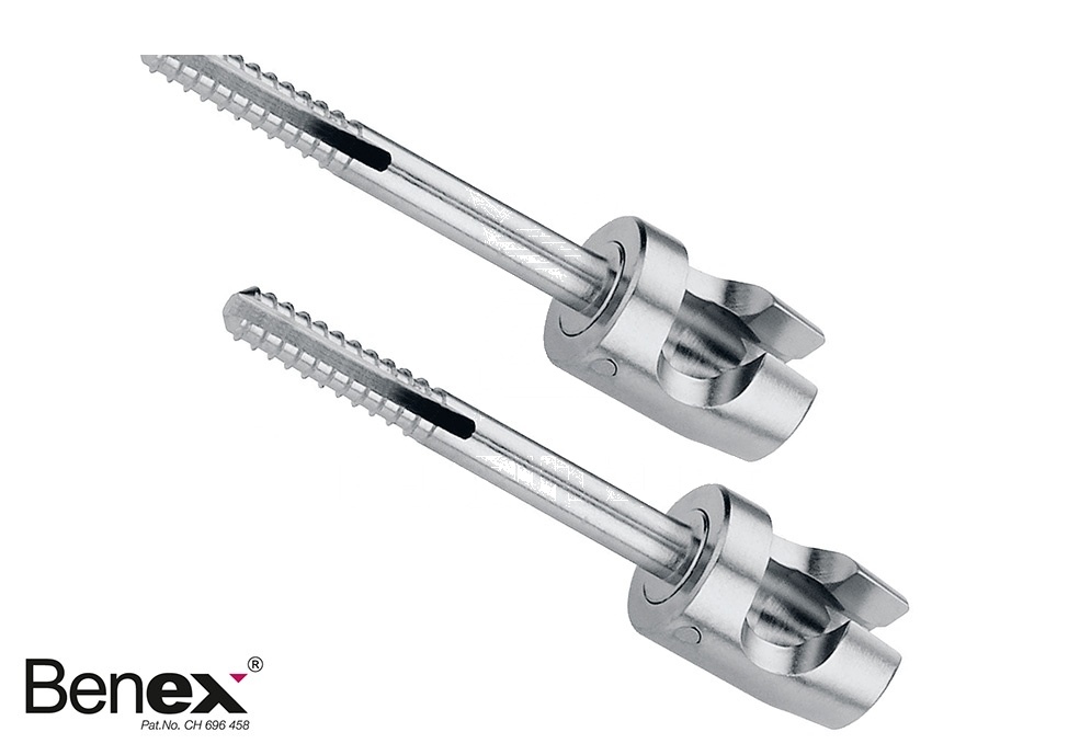 Large Benex Extracing System – Screw Only – 16 Mm (1 Pair), Diam. 2.1 Mm Packing Unit = 2 Pieces