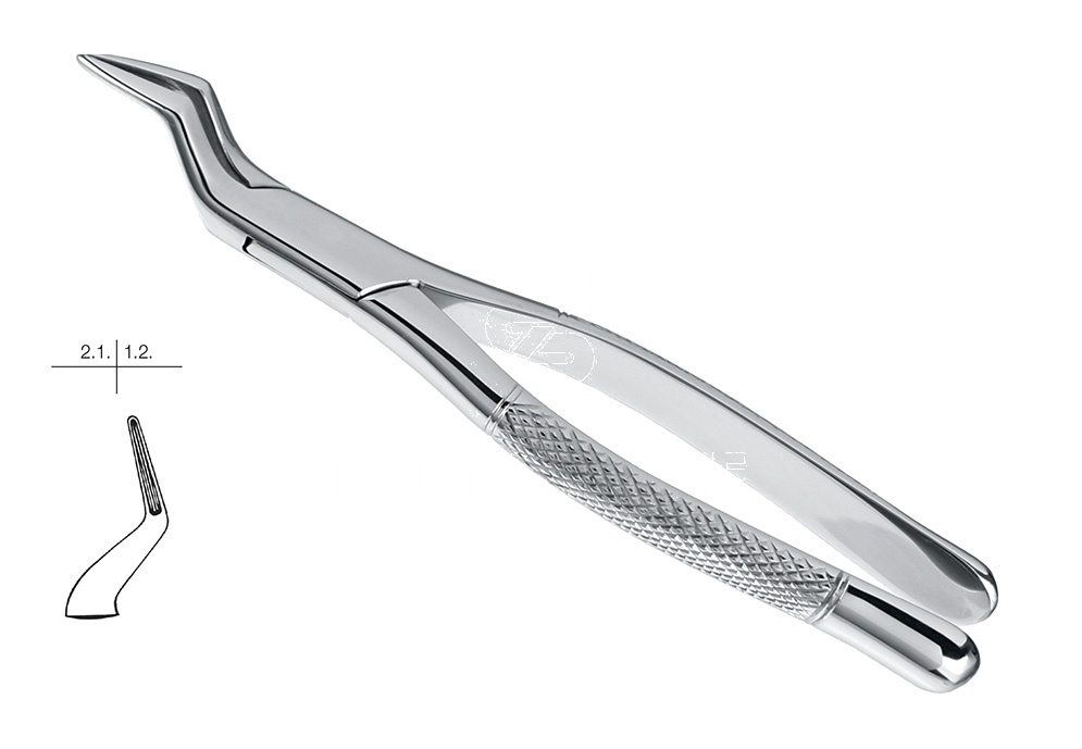 American Pattern Upper Incisors & Roots Extracting Forceps – Fig. 65