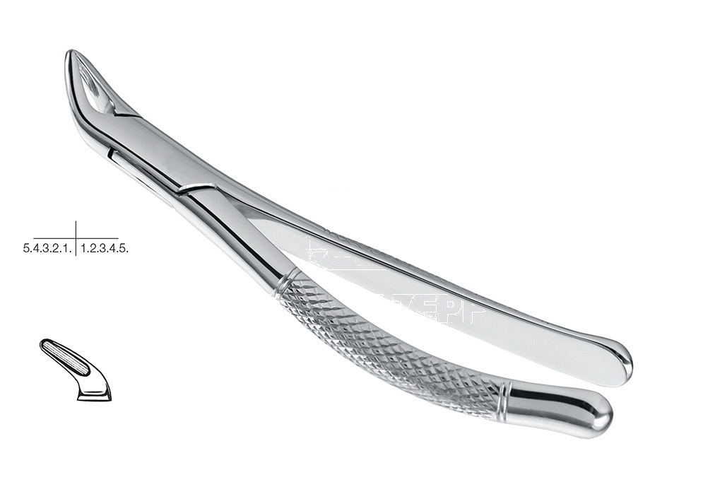 Cryer American Pattern Lower Teeth Extracting Forceps for Children – Fig.151-S