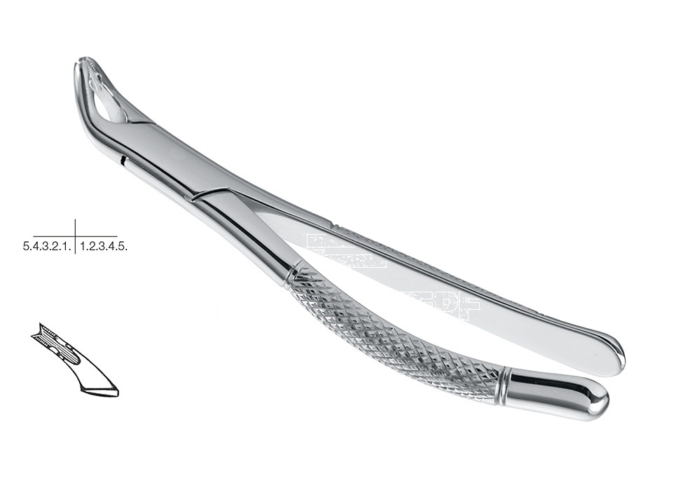 American Pattern Lower Teeth Extracting Forceps for Children – Fig. 151-As
