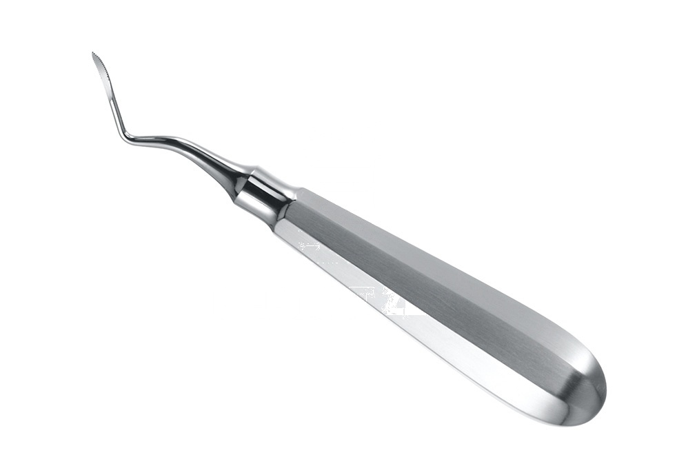 Heidbrink Root Tip Elevator – Fig. 2 Curved, Serrated Edges Flohr-Book Inchfinch, Working Tip 2.5 Mm